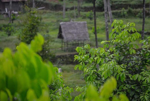 In To The Roots Farm and Resorts