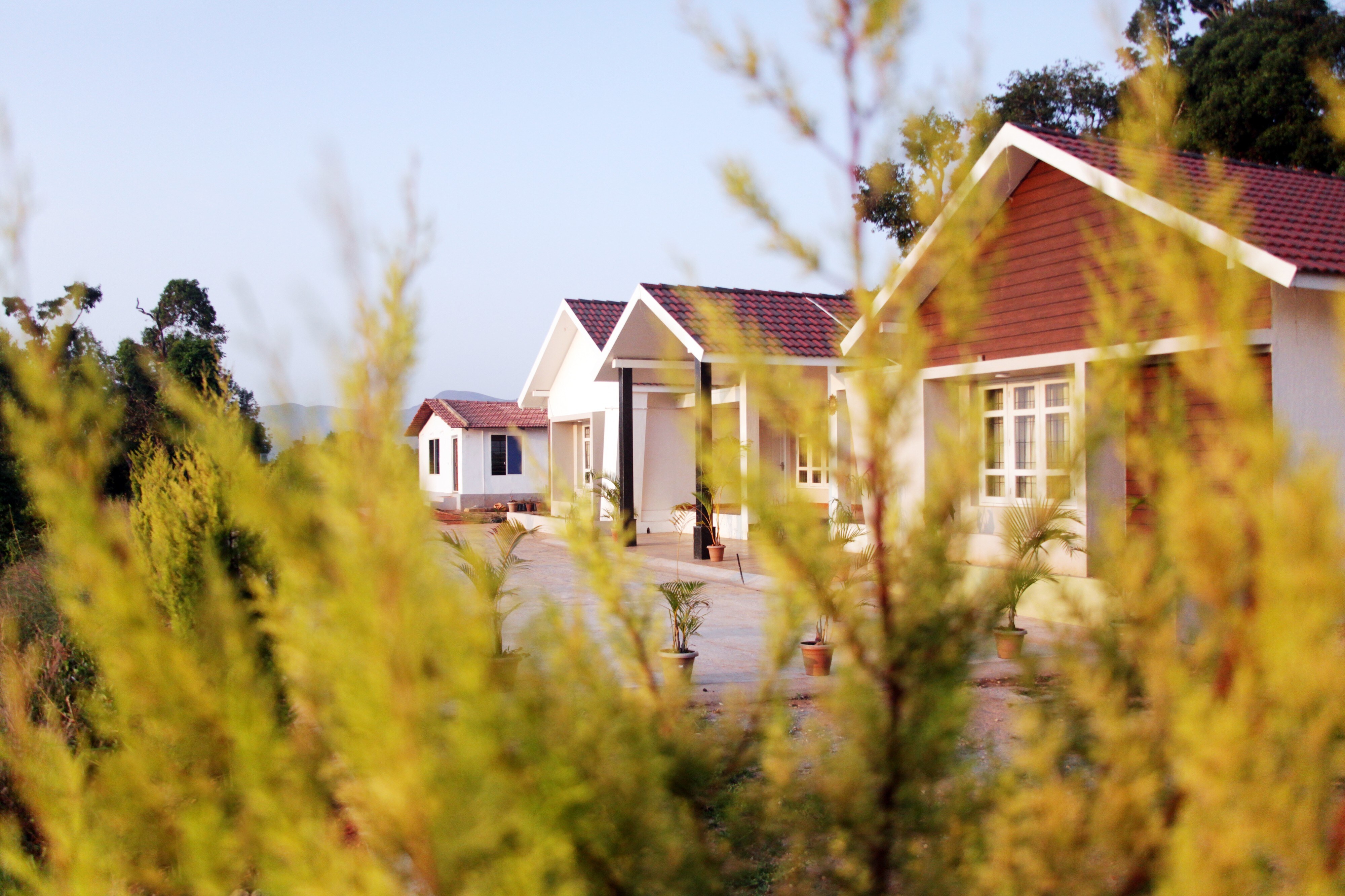 The Mist Homestay