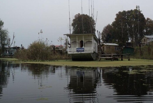 Young Houseboat kohosar