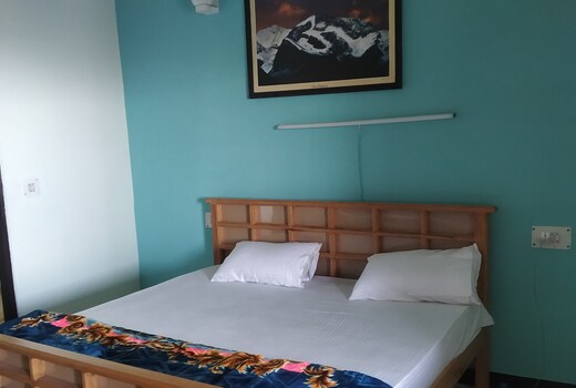Halt Mountain Lake View Homestay
