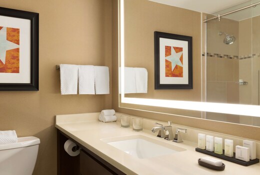 Embassy Suites by Hilton Austin Downtown South Congress