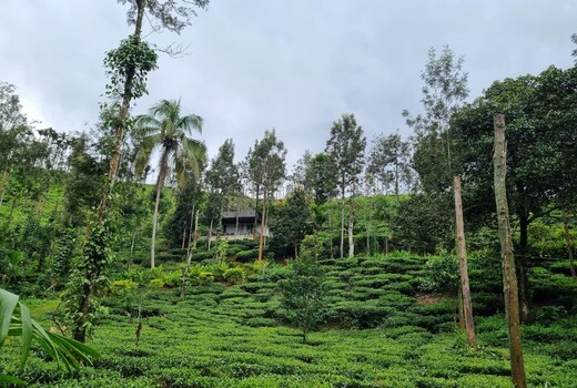 FARMKAMP - Nilagiri Time2Travel