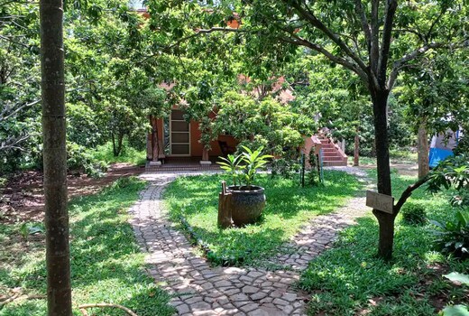 Prakruti Farms l Ibis