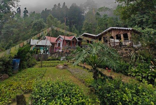 Jungle Book Homestay By StayApart