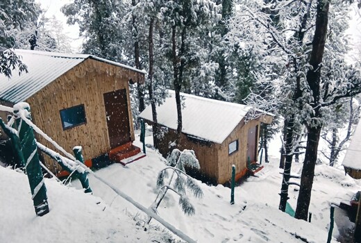 TTN - The Trekker's Nest