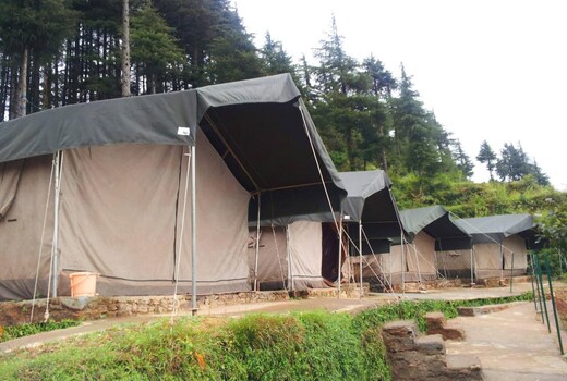 Camp Wildex kanatal