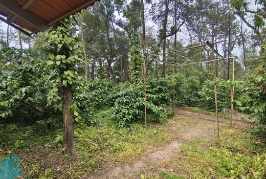 Prakruthi Farmstay