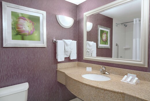 Hilton Garden Inn-Springfield, MA