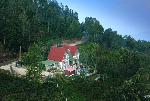 Vue Kothagiri Ecorganicstays