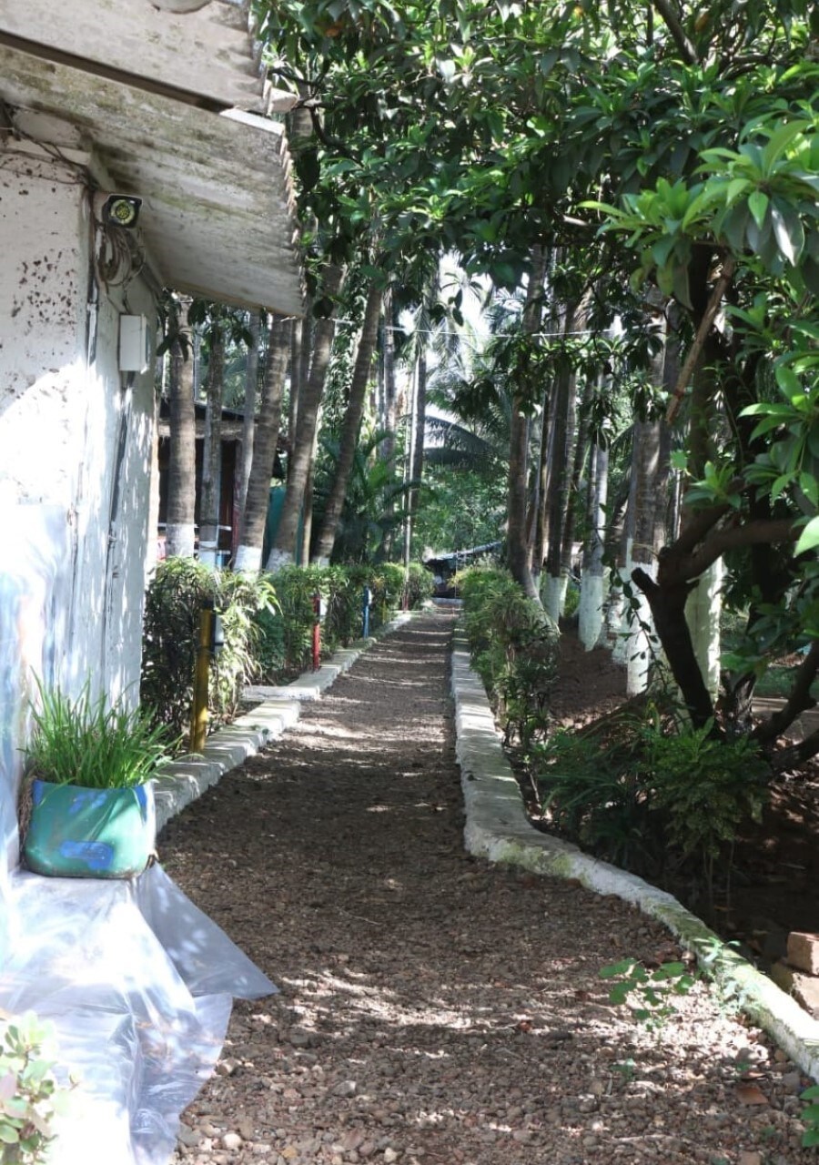 Main gallery