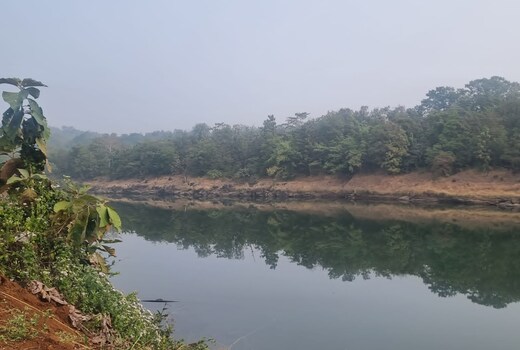 Riveria Farms