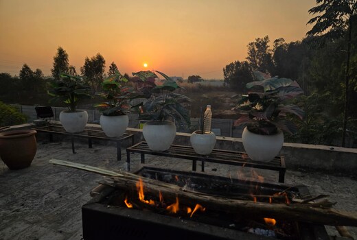 Parmar farm stay and dog hosting