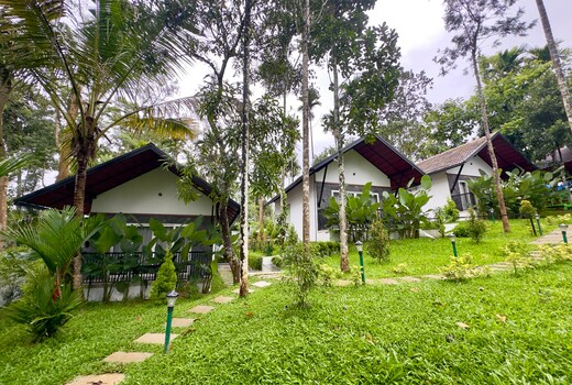 snow white resort wayanad