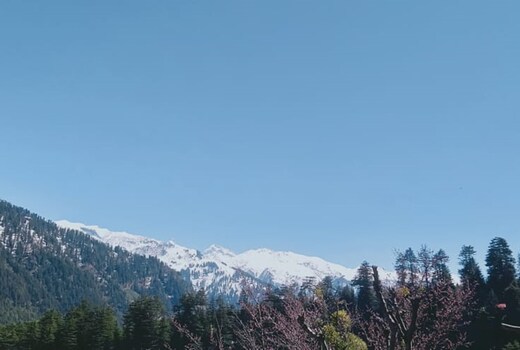 Maha Mountain Home