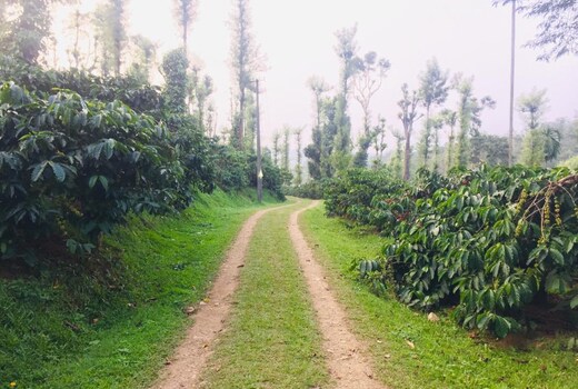 Serene Homestay | Entire 5 BHK Homestay