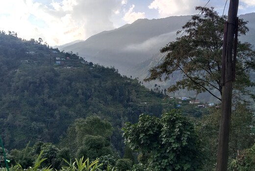 Palmajua Arivik Homestay