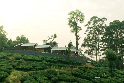 Chayathottam Holidays Munnar