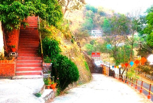 The Satvik, Bhimtal