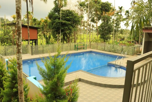 Paddy View Resort | Villas Near Muthanga Wild Life Sanctuary