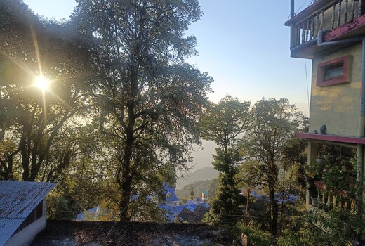 Shrubbery Homestay and Guesthouse