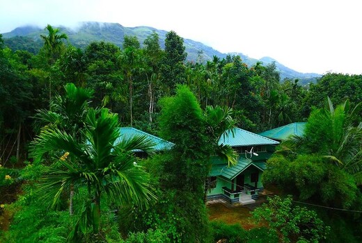 Shibi's Tea Garden Heritage