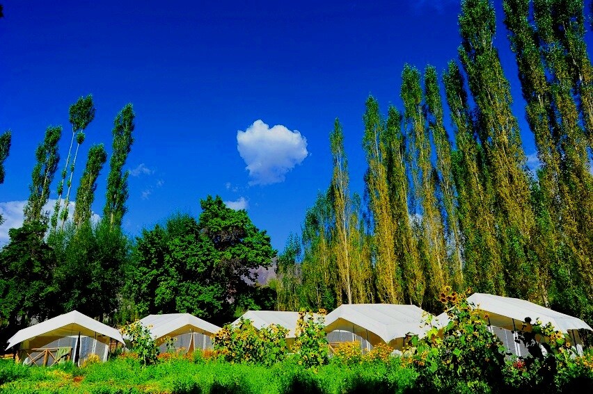 Skylark Camping & Nature Resort
