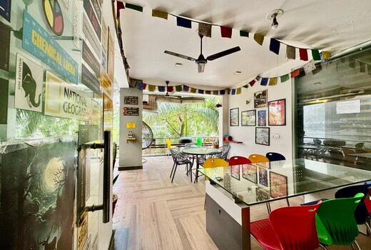 Main gallery