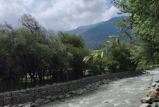 The Mountain Stop