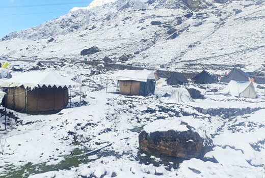 Uma Camp