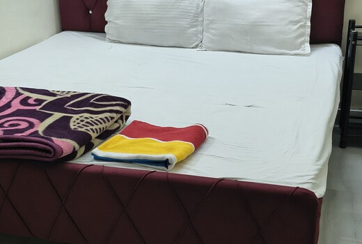 Royal Palace Inn Homestay