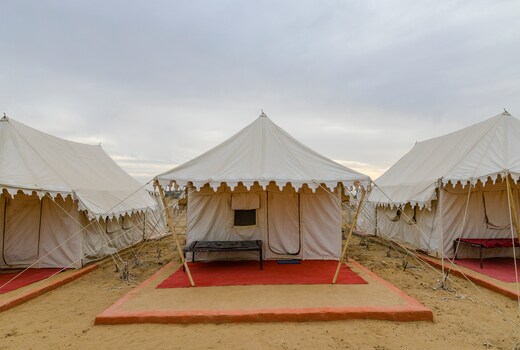Incredible Desert Safari