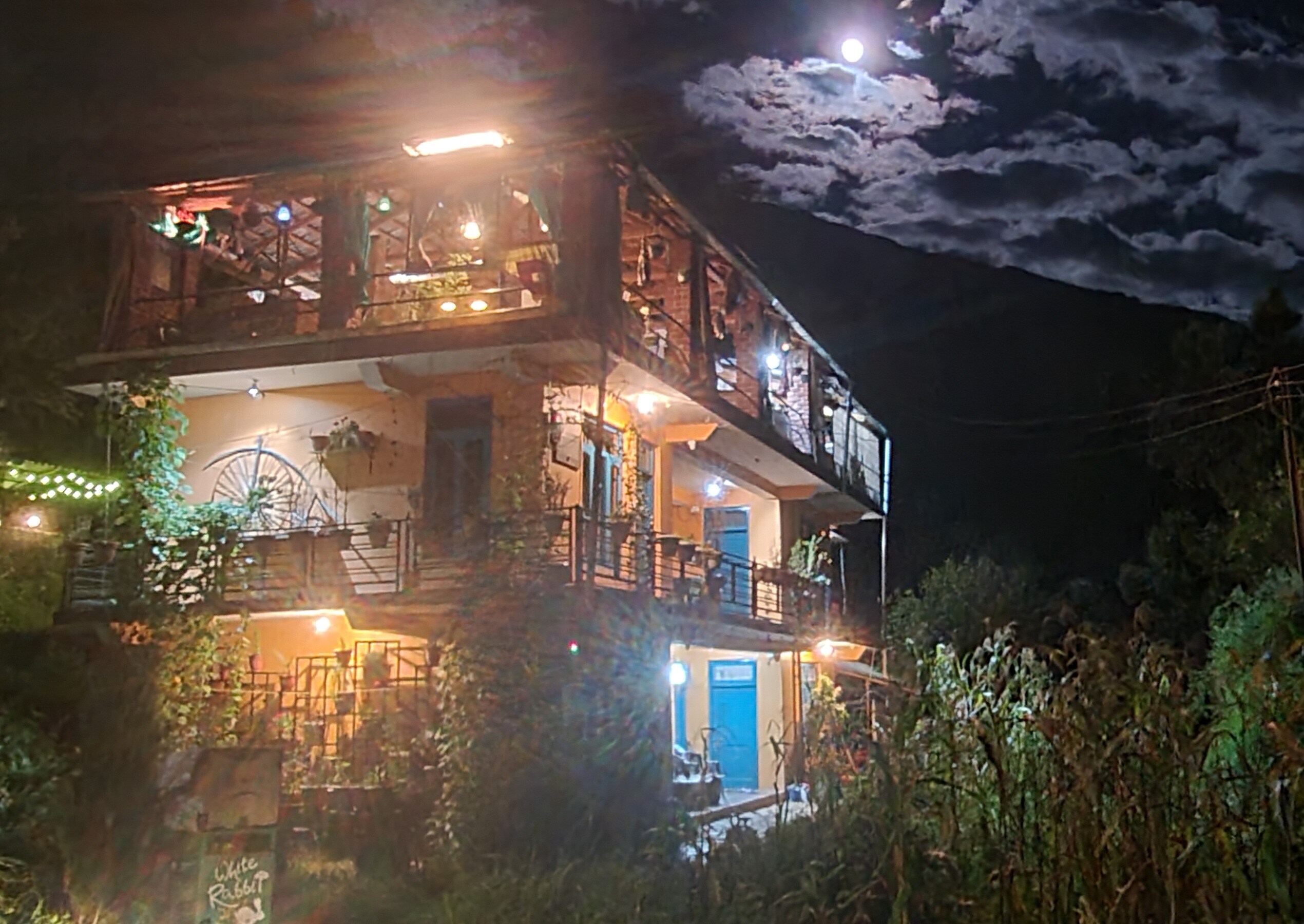 white rabbit guest house
