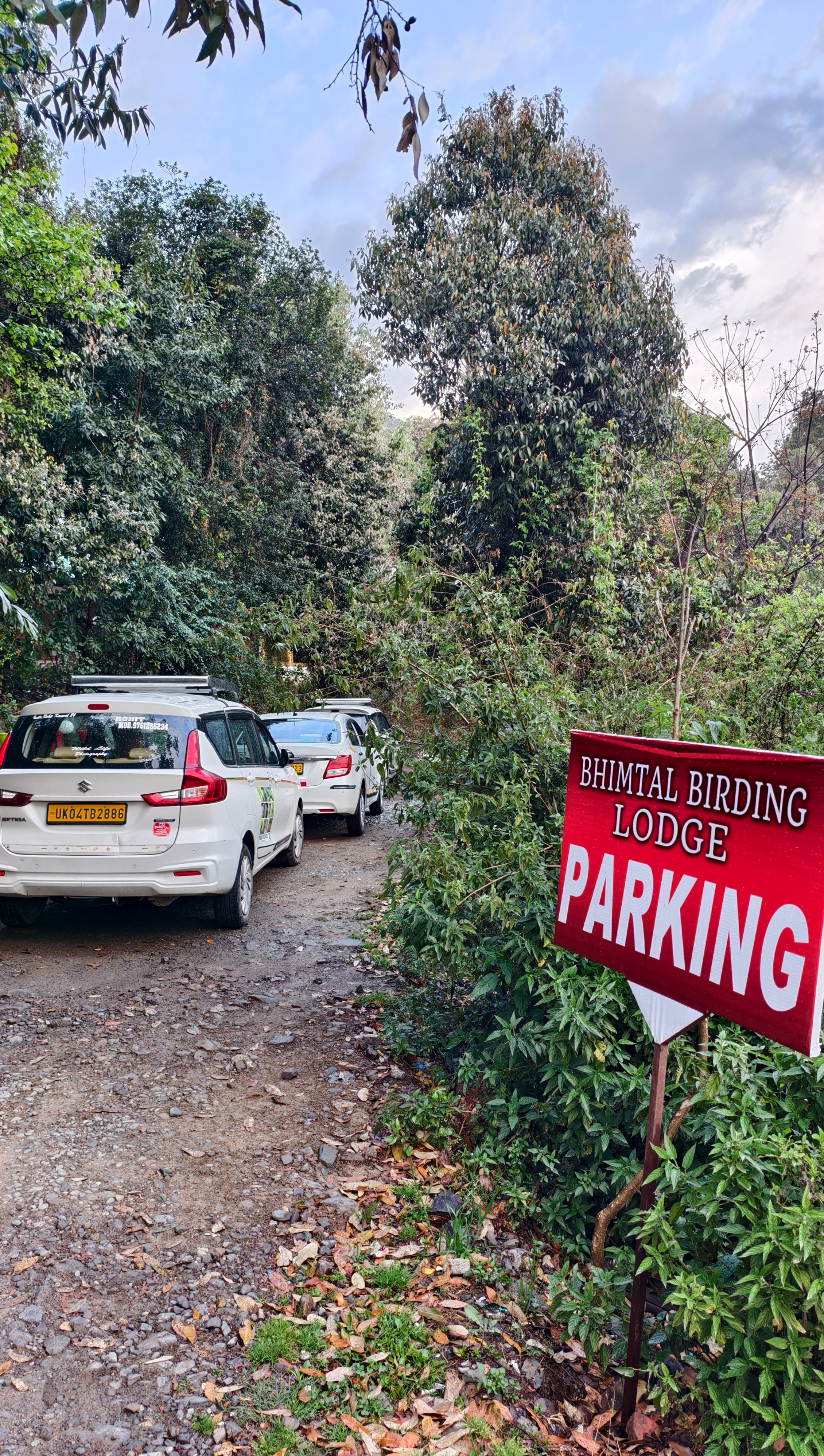 Bhimtal Birding Lodge