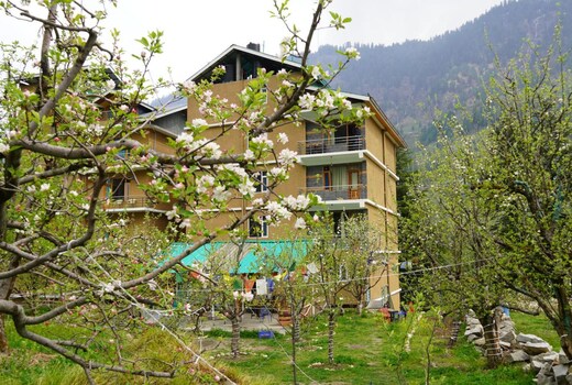 Navaura Stays & Cafe, Old Manali