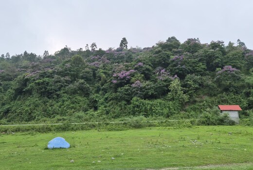 Kalimpong Mountain View Homestay