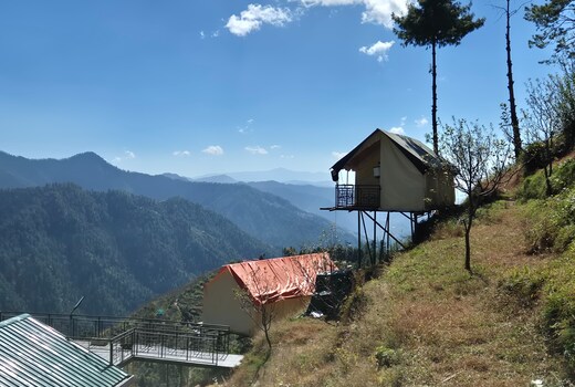 Arc 305 Degree Nature Camp