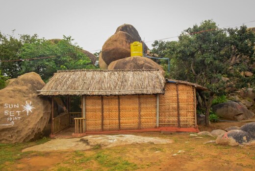 Brown Elephant