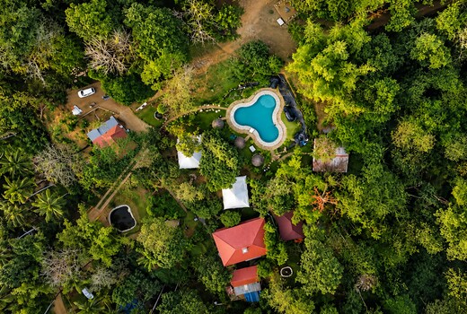 Pugmark Jungle Resort