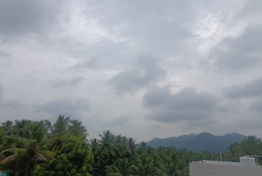 Masi tamil house