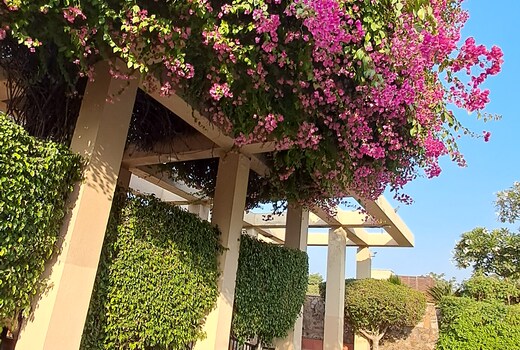 Entire Villa near Gurgaon