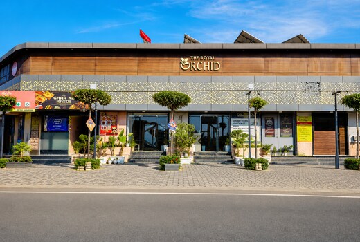 The Royal Orchid
