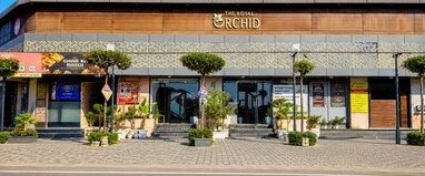 The Royal Orchid