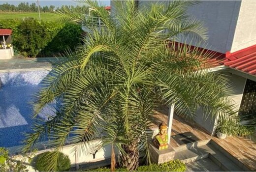 Shaw s 3Bhk Farm House For Staycation by GRB