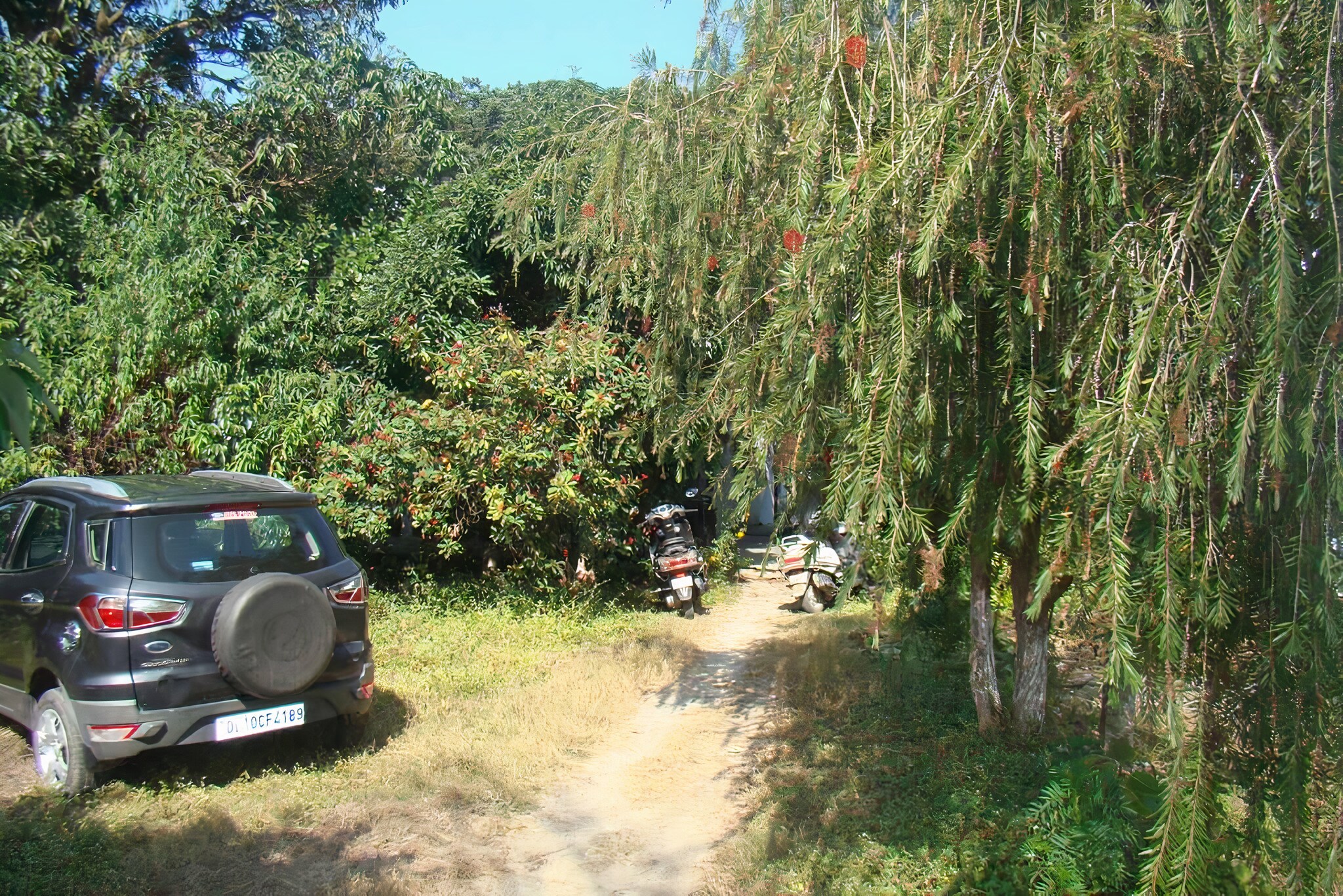 Doon Resort Dehradun