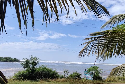 Ojanup