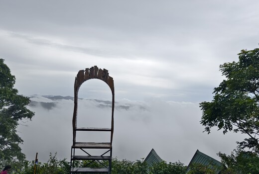 Camp Lights Munnar