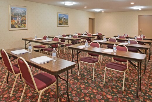 Holiday Inn Express BIRCH RUN (FRANKENMUTH AREA)