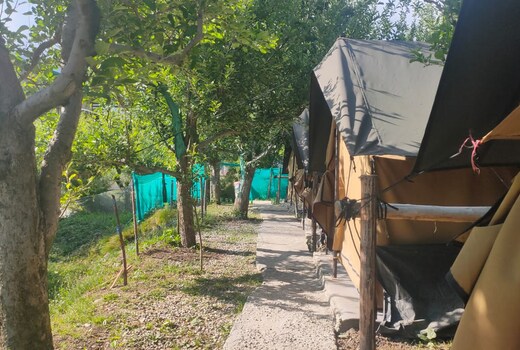 Manali Base Camp