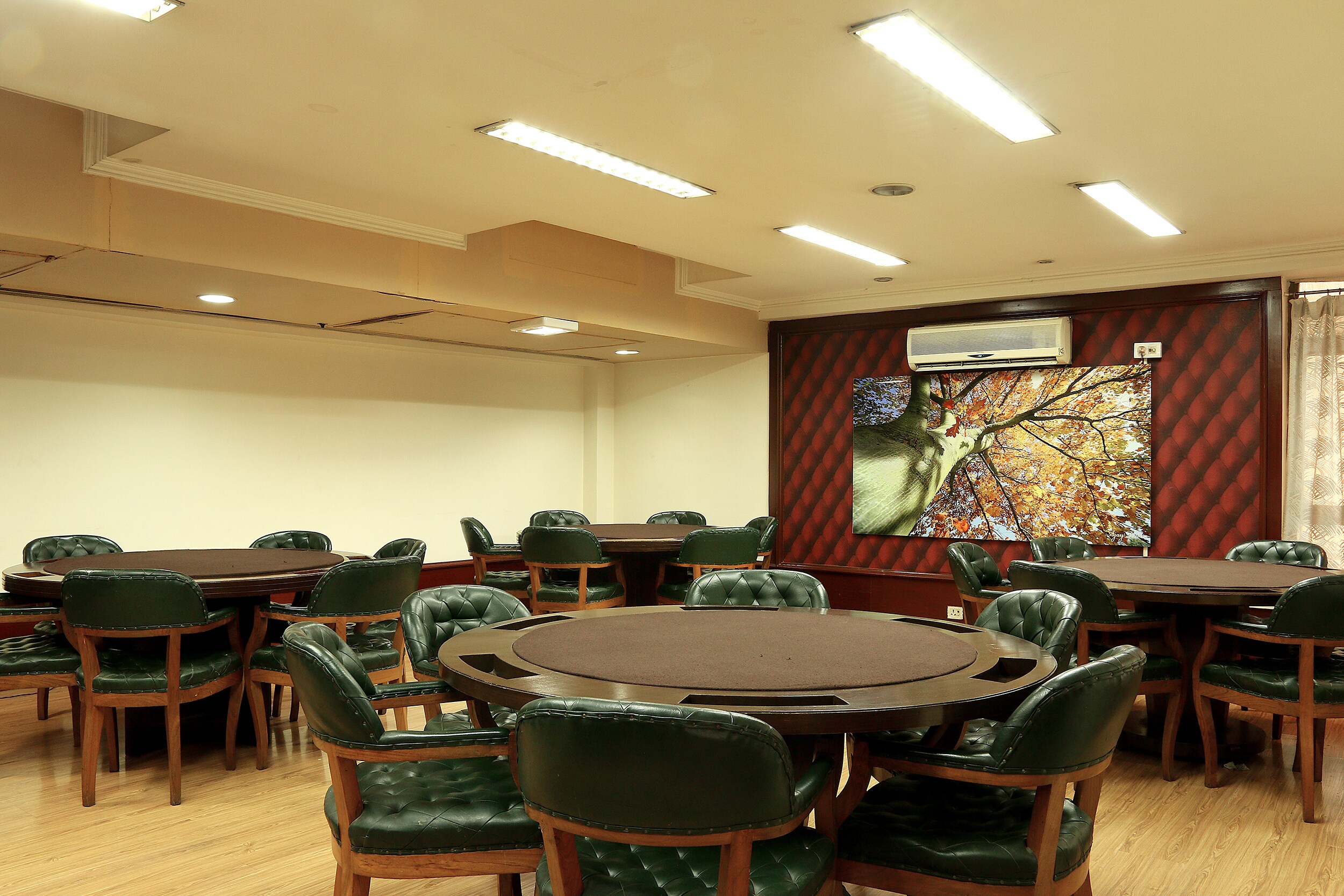 Main gallery