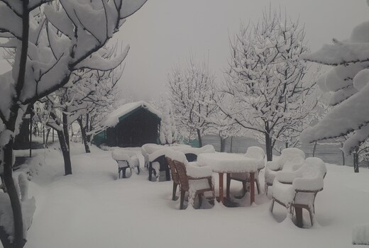 Paradise Camping Apple Orchard Manikaran